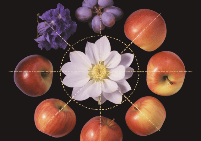 MF Mindful - Coach en salud nutricional integral