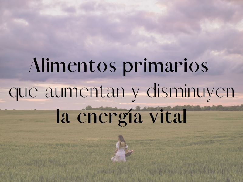 Alimentos primarios y la energía vital - Alimentación consciente - MF Mindful