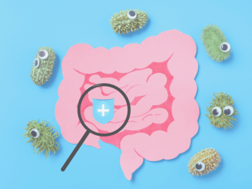 Microbioma intestinal 101 - Mejor inmunidad - MF Mindful