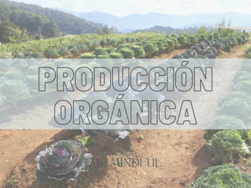 Producción orgánica - MF Mindful - Coach en salud nutricional integral